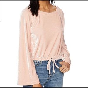 Cupcakes & Cashmere Pink Velvet Blouse